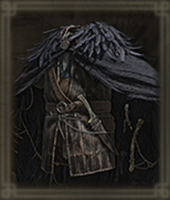 猛禽の黒羽画像