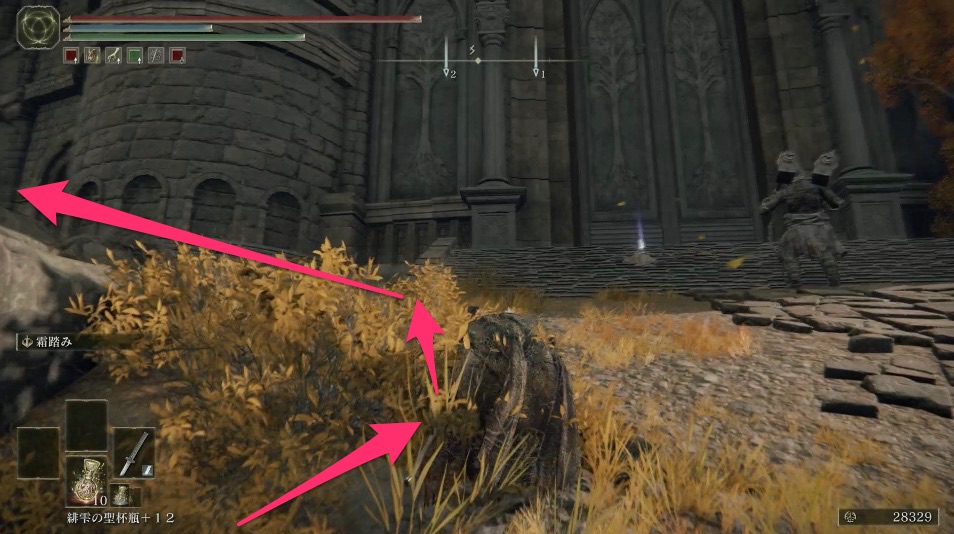 コリンと金仮面卿