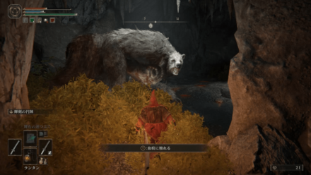 熊は無視して進もう