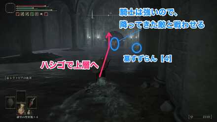 ハシゴで上層へ