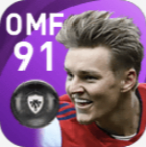 FPマルティン・エデゴーア(3/10)の画像