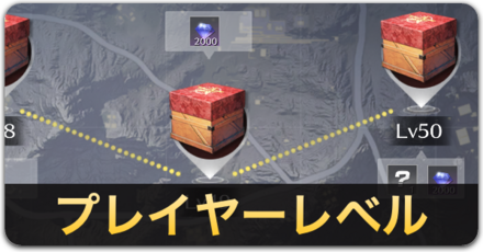 プレイヤーレベル