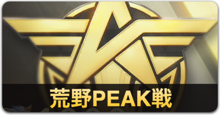 荒野PEAK戦