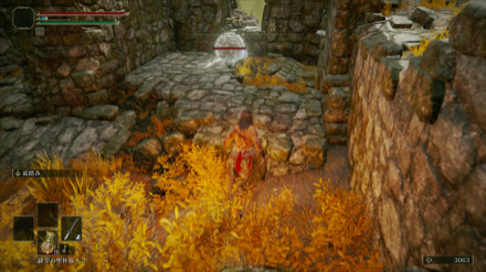 突撃バッシュ