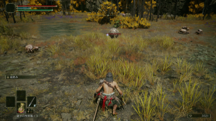 アルター高原のスカラベ