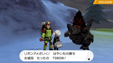 雪中渓谷の目玉商品