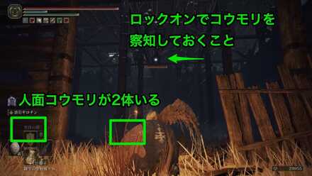 1階コウモリの群れはおびき寄せて個別に処理