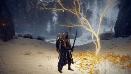 黄金の種子マップ