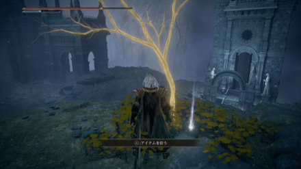 シーフラ河の黄金の種子の場所