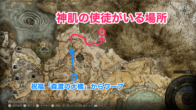 神肌の使徒がいる場所