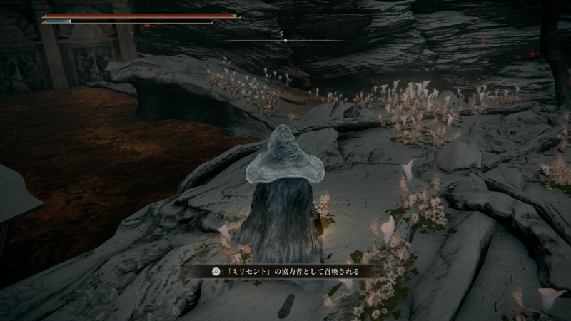 祝福「排水路」から湿地に戻り召喚サインを調べる