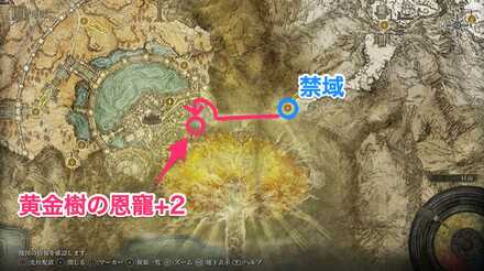 黄金樹の恩寵+2