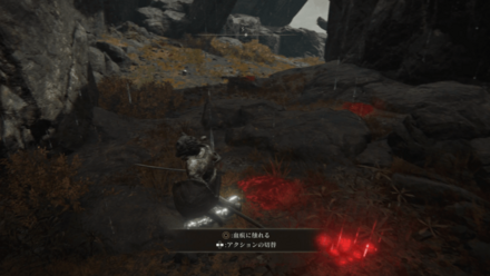 ライリーの赤サイン