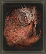 エグズキスの腐敗画像