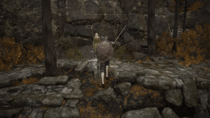 古遺跡断崖から来た場合