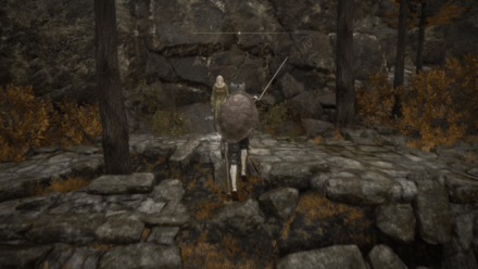 古遺跡断崖から来た場合