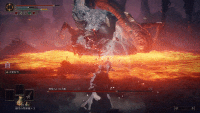 ライカード戦