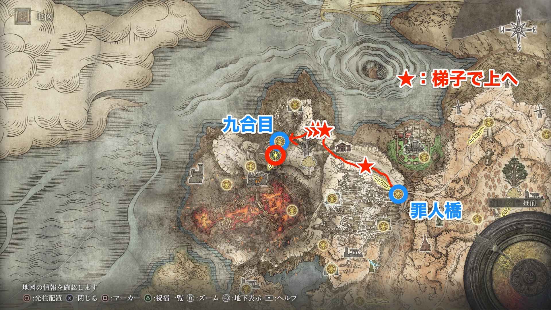 降る星の成獣の場所