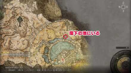 ゆでカニのマップ