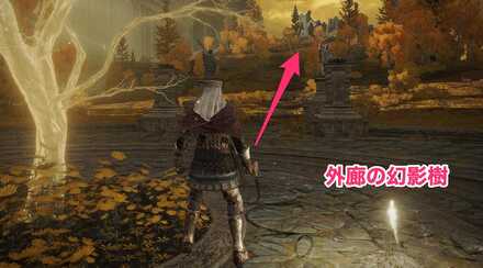 小黄金樹への行き方詳細