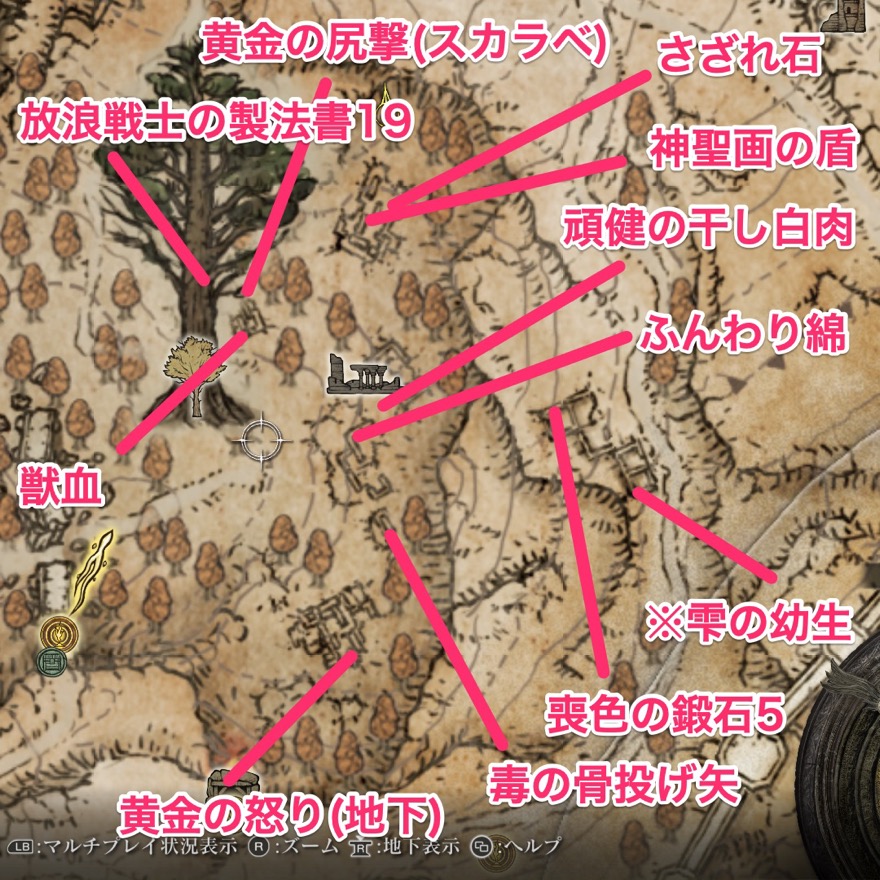 森の民の廃墟のアイテム位置