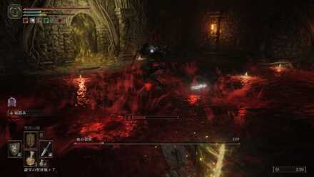 地下で「血の貴族」を倒し「血のヘリケー」を入手