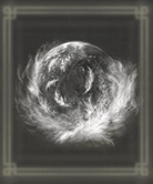 羽の結晶雫画像