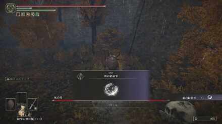 羽の結晶雫の場所