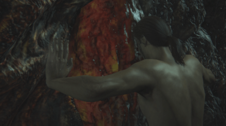 防具をすべて外すと扉を開けられる