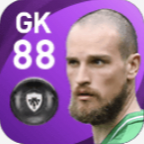 FPプロドラグ・ライコヴィッチ(3/17)の画像