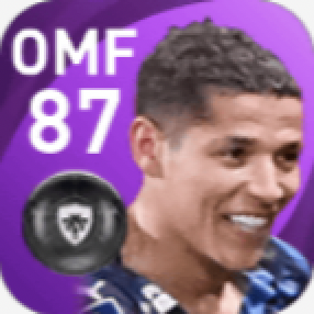 FPアミヌ・ハーリット(3/17)の画像