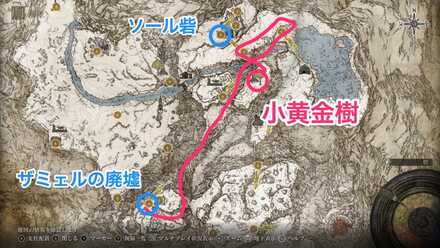 小黄金樹(巨人山嶺西部)画像