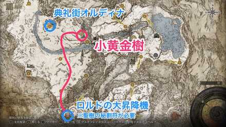 小黄金樹(聖別雪原)画像