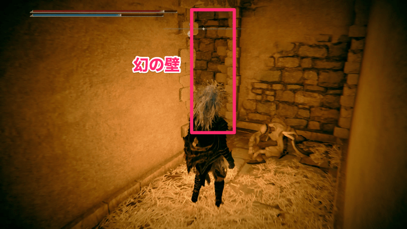 道なりに進み行き止まりまで行くと左に幻の壁