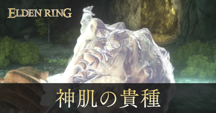 神肌の貴種の攻略と出現場所