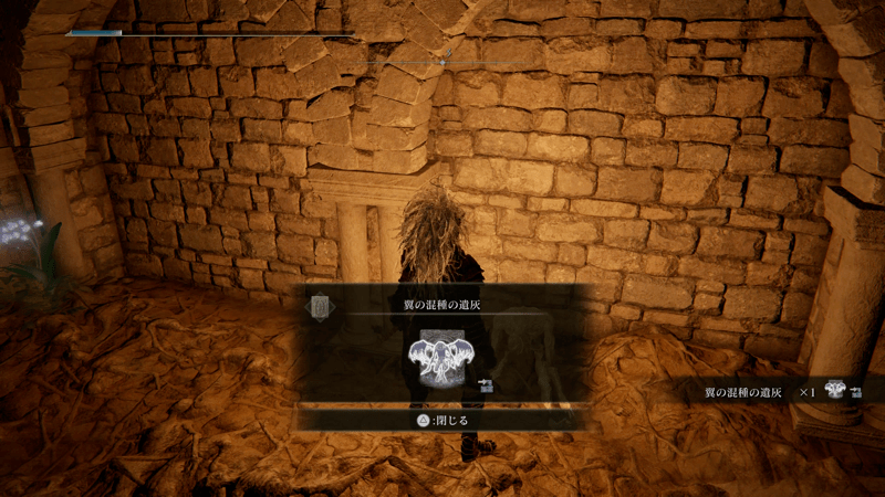 アルター高原の「醜き地下墓」で入手