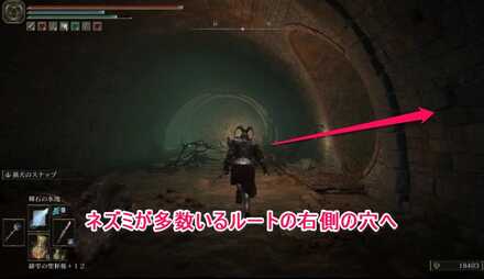 忌み捨ての地下：ネズミが多数いる通路の右の穴へ入る