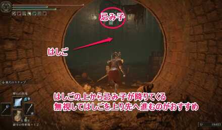 忌み捨ての地下：はしごの上から忌み子が降りてくるがシカトしてはしごを上ろう