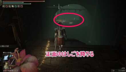 放浪の民の遺灰：小ミランダが2体地面から湧いて出てくる部屋の先のはしごを降りる