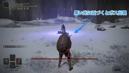 円卓の騎士ヴァイク