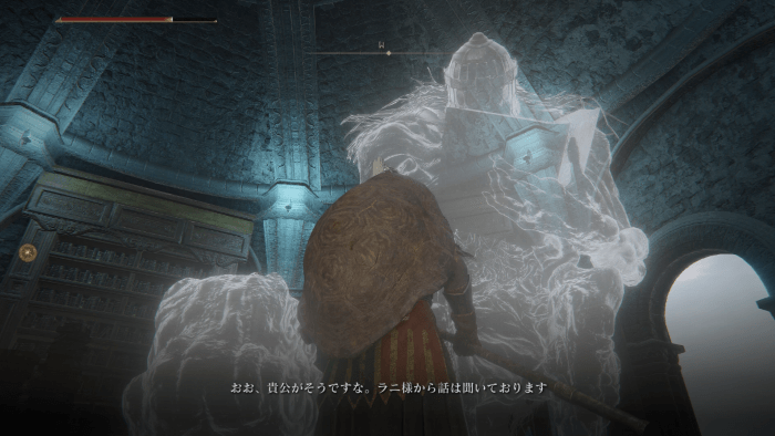 ラニの魔術師塔で会話する