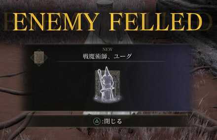 戦魔術師ユーグの入手画面