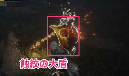 蝕紋の大盾の見た目