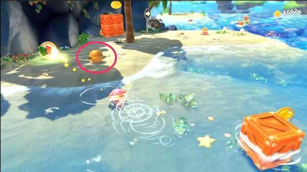 最序盤のヤシの木の下