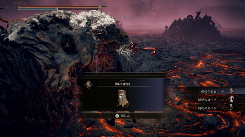 タニスとタニスの騎士を倒して入手