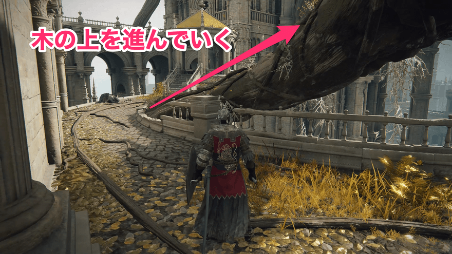 黄金樹の弓入手チャート②