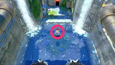 地下水道に流されてのワドルディ