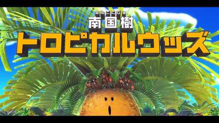 トロピカルウッズ画像