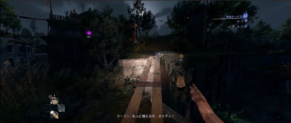 ホーコンバグ