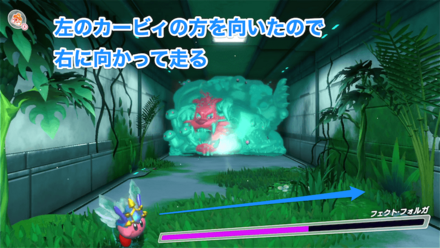 左を向いたフェクト・フォルガ画像